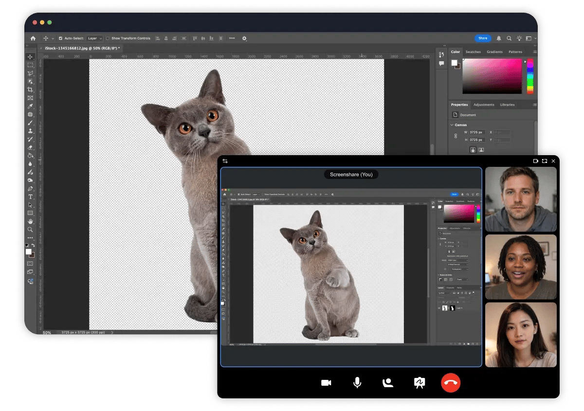 Digital Samba 630 - PiP on Screenshare