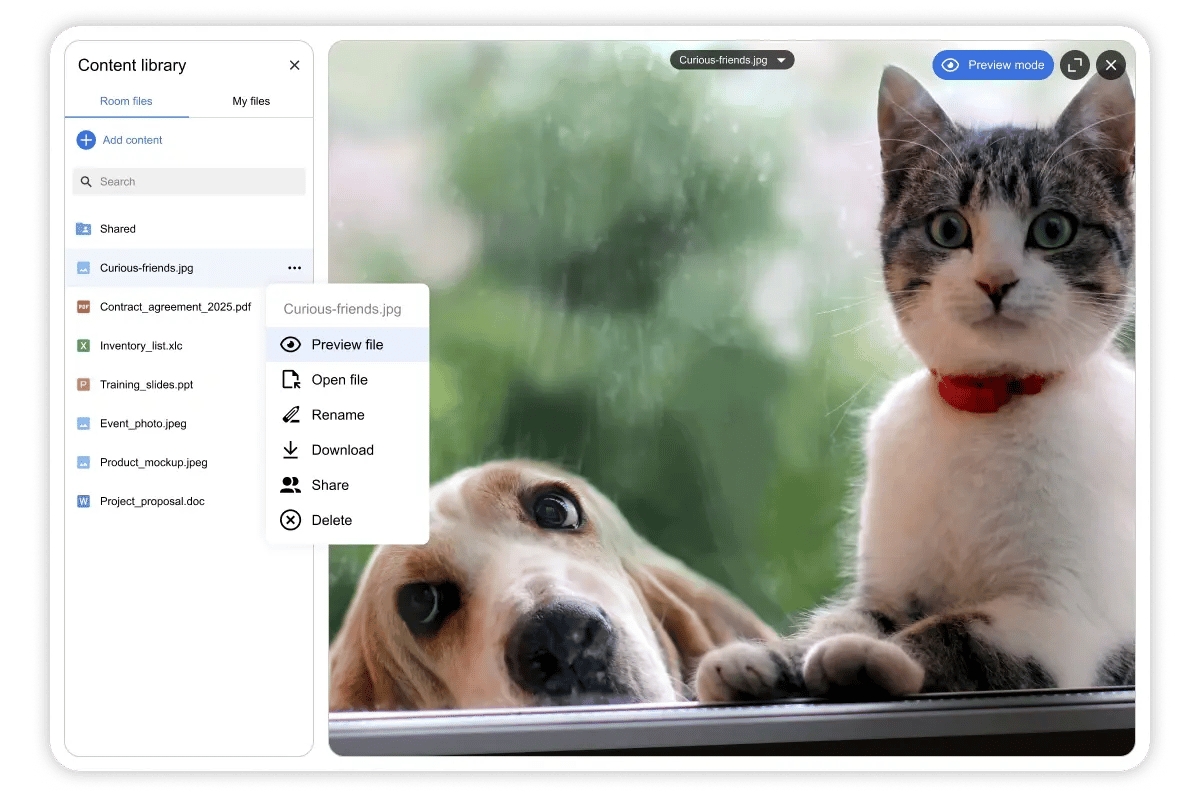 Digital Samba 639 - Preview Mode