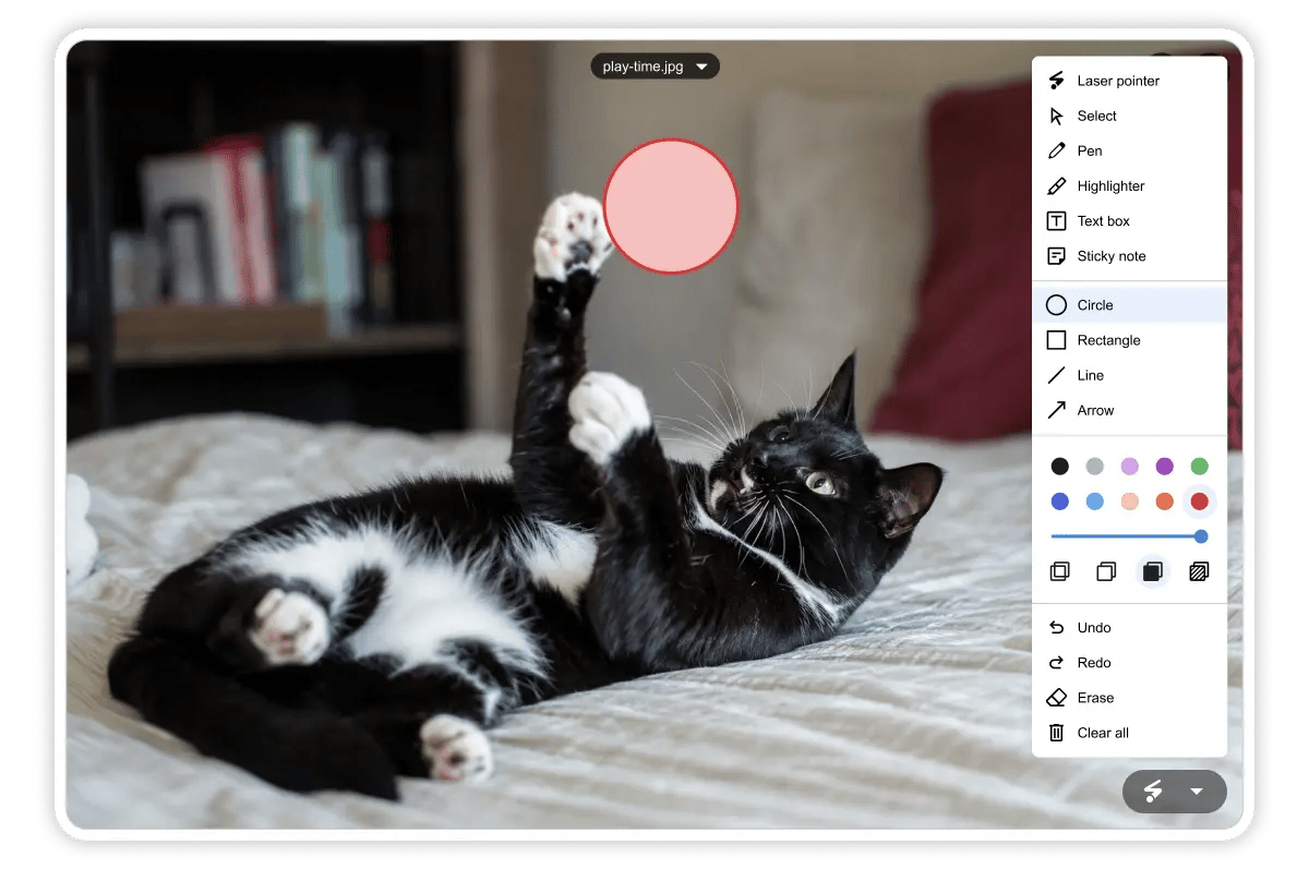 Digital Samba 646 - Fill Colour Annotations