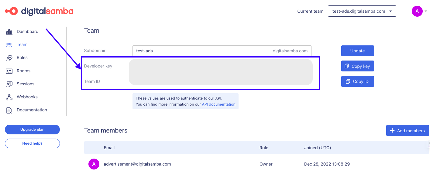 How to Configure Your Team Settings with the Digital Samba Developer API