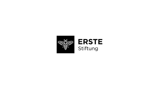 erstestiftung-cover